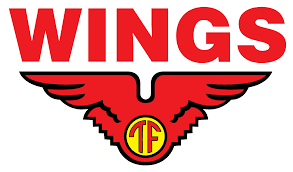 logo wings