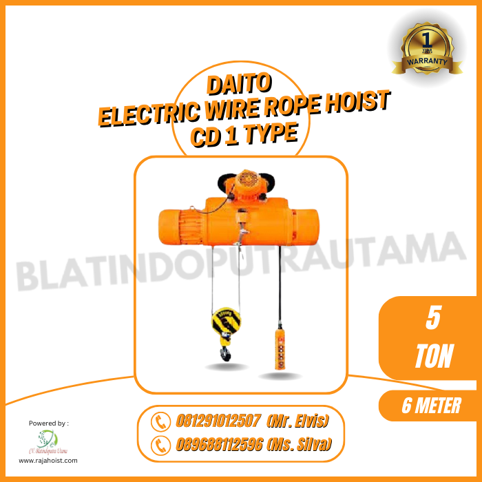 Daito Electric Wire Rope Hoist CD1 5 Ton × 6 Meter