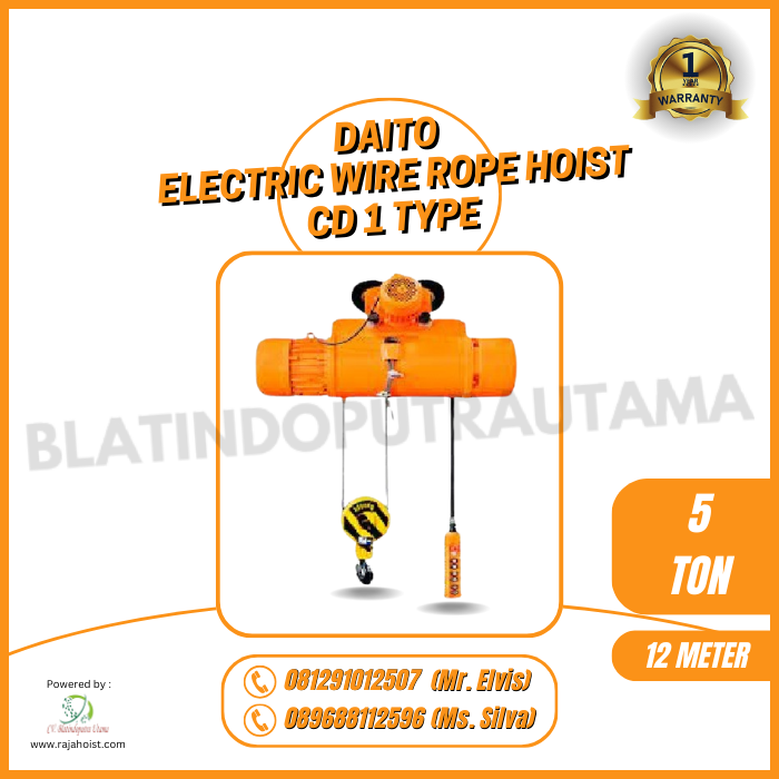 Daito Electric Wire Rope Hoist CD1 5 Ton × 12 Meter